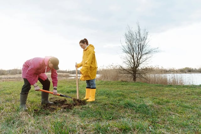 Couple planting a tree by a lake